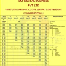 1️⃣ SDB-Sky Digital Business Pvt Ltd - Civil Servants