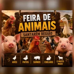 FEIRA DE ANIMAIS 🐓🦃🦚🦢🐖