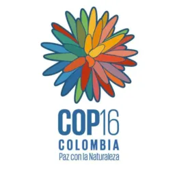 Propuestas y Negociaciones con la COP 16