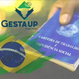 🇧🇷 Vagas Emprego - Gesta'Up Company 🇧🇷