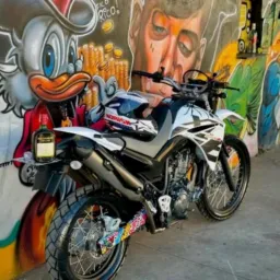 Vedas e trocas são domingos 🚲🏍️🐦