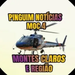 0️⃣4️⃣🚨PINGUIM NOTÍCIAS MOC🚨