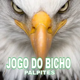 Acerto bet ⚽🥅