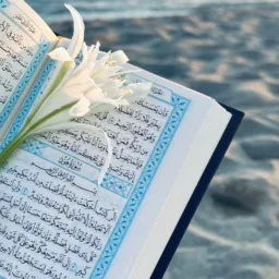 FREE HIFUL QURAN COURSE